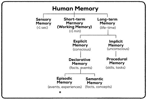Perspectives On Human Memory And Cognitive Aging: Essays In Honor Of Fergus Craik