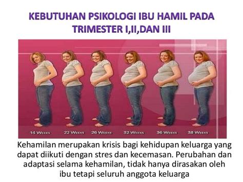 perubahan psikologis pada ibu hamil trimester 2