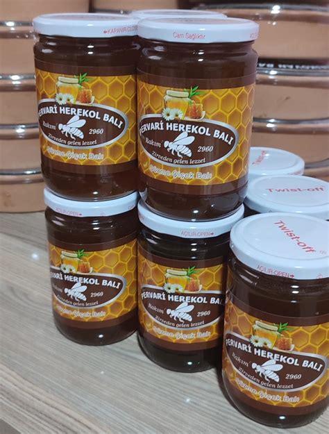 pervari herekol bali  Instagram.