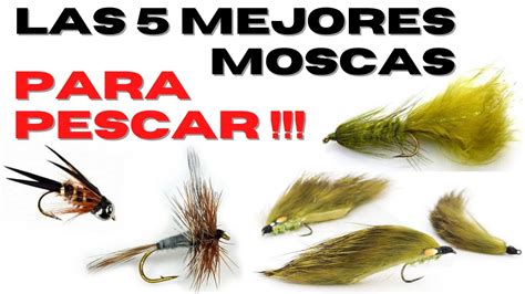 pesca con la mosca ediz illustrata