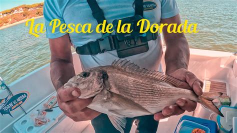 Pesca La Dorada