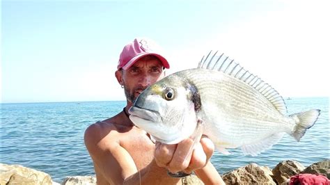 Pescare Orate In Liguria Italy Pictures