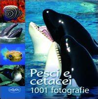 Full Download Pesci E Cetacei Ediz Illustrata 