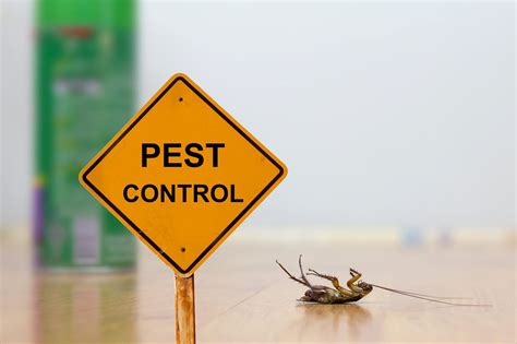 pest control show a&e