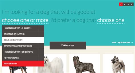 Pet Chooser