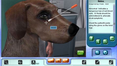Pet Pals Animal Doctor Game Download Free Download Pet Pals Game Download - Pet Pals Game Download
