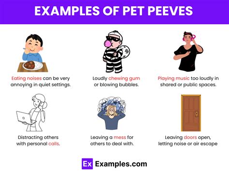 pet peeve examples