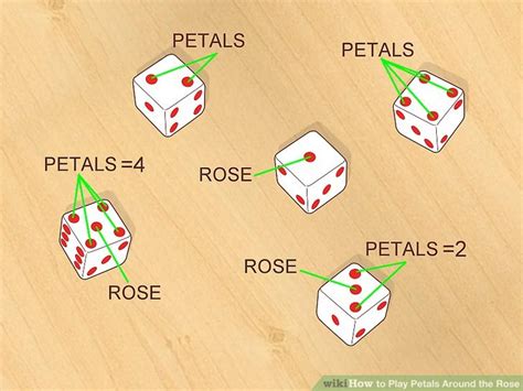 Petals Around The Rose