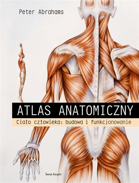 peter abrahams atlas anatomii pdf