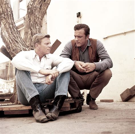 peter arness biography