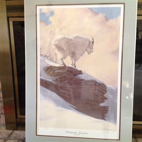 peter darro windswept mountain