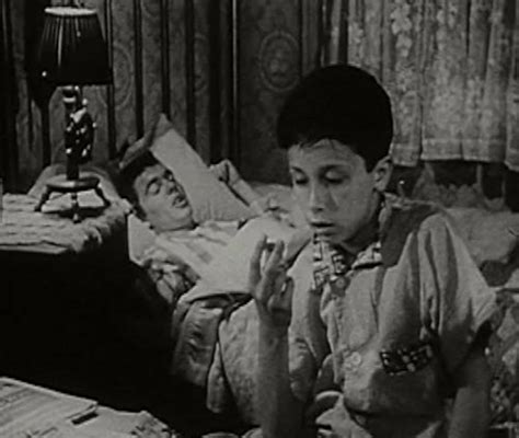 peter j votrian biography examples