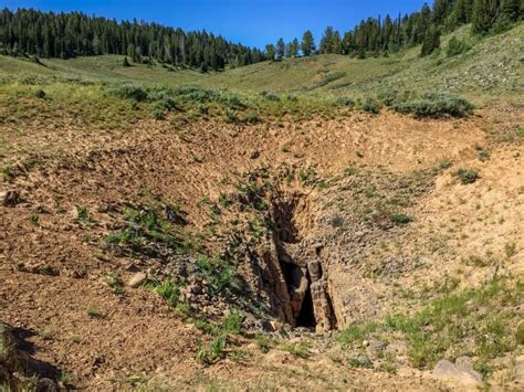 peter sinks utah