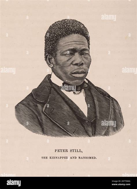 peter still biography