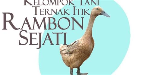 Peternakan Bebek Sumatera Pentingnya Kelompok Tani Ternak Untuk Logo Kelompok Tani - Logo Kelompok Tani