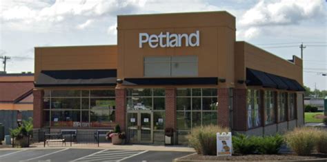 petland ohio