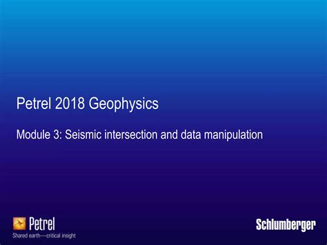 Petrel 2010 Demo Data
