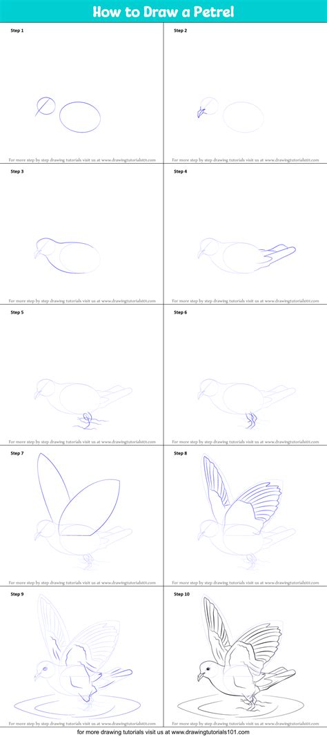 Petrel Step By Step Tutorial