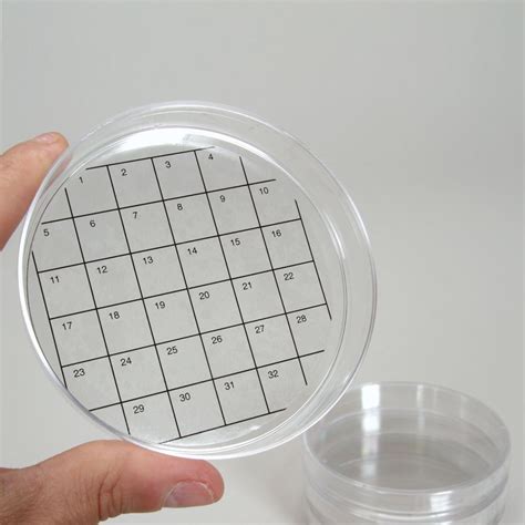 petri dish grid template
