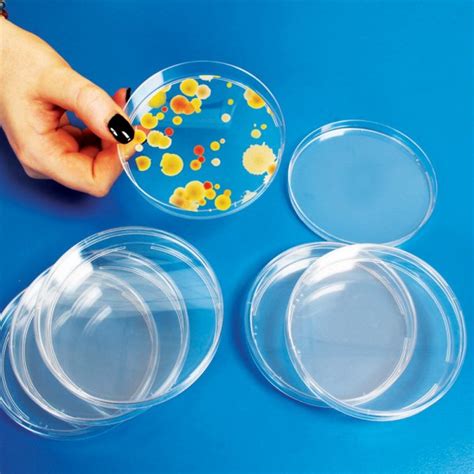 Petri Dish Science Experiment   Petri Dish Surprise Andy Jones Live - Petri Dish Science Experiment