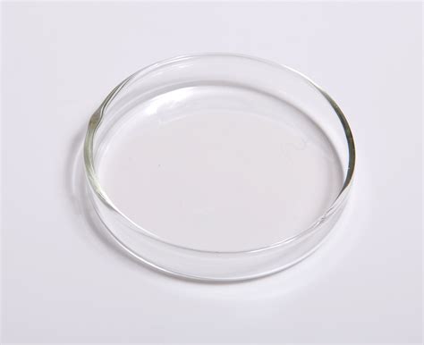 Petri Dish Wikipedia Petri Dish Science Experiment - Petri Dish Science Experiment