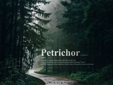 petrichor