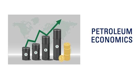 Download Petroleum Economics 