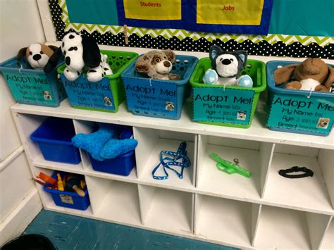 Pets In The Preschool Classroom Pet Science Activities For Preschoolers - Pet Science Activities For Preschoolers