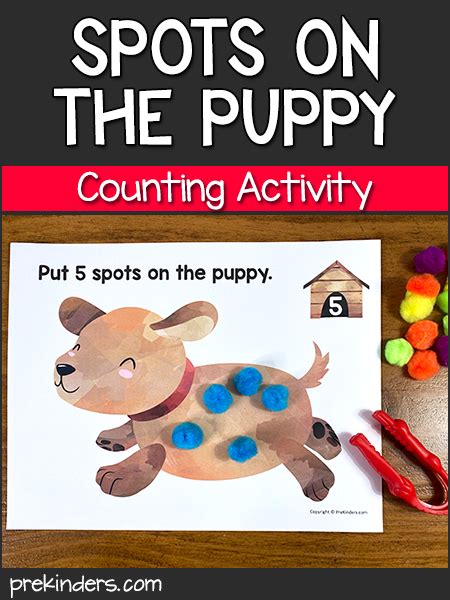 Pets Theme Prekinders Pet Math Activities For Preschoolers - Pet Math Activities For Preschoolers