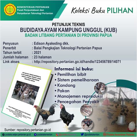 Download Petunjuk Teknis Budidaya Ayam Kampung Unggul Kub Badan 