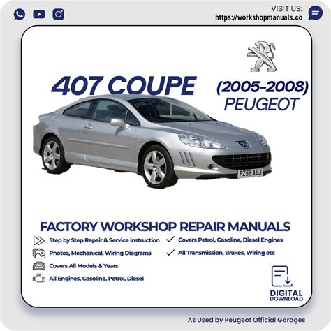 Peugeot 407 Workshop Manual