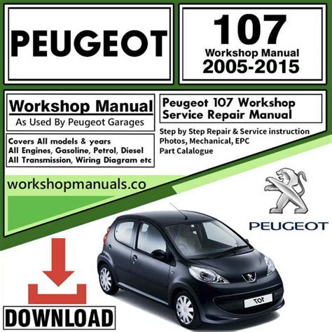 Full Download Peugeot 1007 Workshop Manual 
