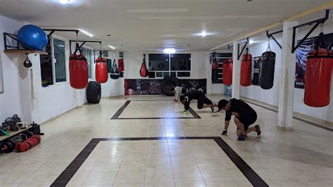 brdice: Aposte nas Melhores Apostas Desportivas Online e Fique Tranquilo com a Proteção de Fundos - Foto 2