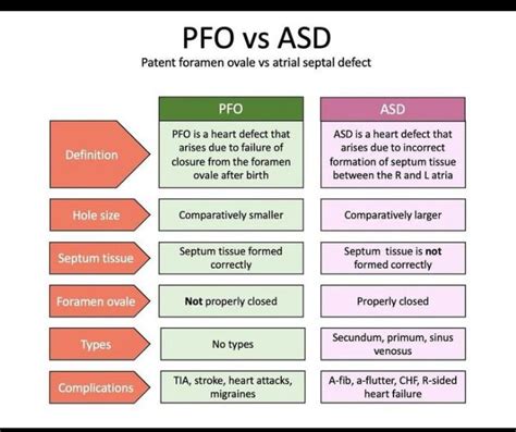 Pfo Vs Asd