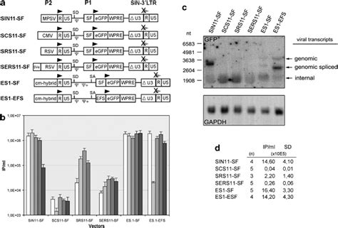 PG368 Link Gacor - Banner 1