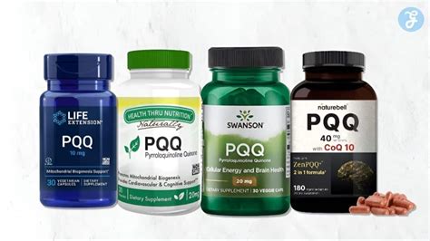 campobet: Aposte nas Melhores Apostas Desportivas Online e Fique Tranquilo com a Proteção de Fundos - Foto 2
