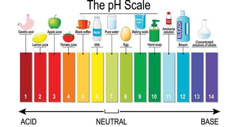 Ph Of Dilute Hcl