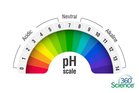 Ph Scale Inquiry Based Intro To Acid Base Ph Scale Worksheet Middle School - Ph Scale Worksheet Middle School