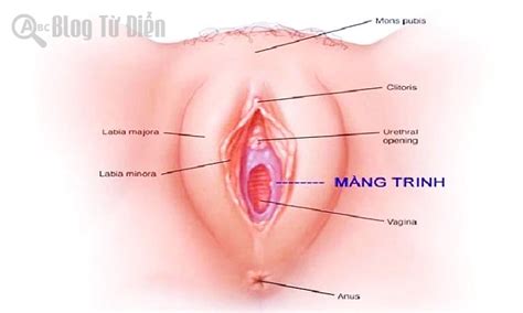 pha trinh | Truyn sex ph trinh DOC TRUYEN 69