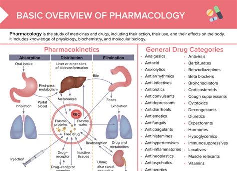 Download Pharmacokinetics A Beginners Guide 