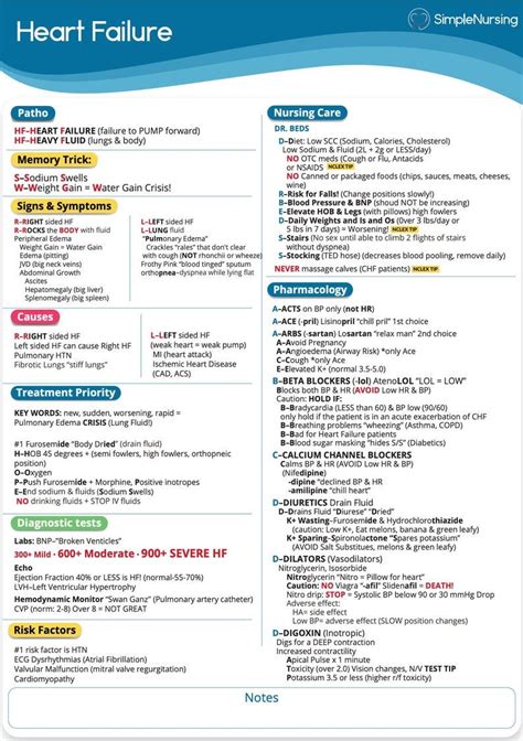 Read Online Pharmacology Nursing Study Guide 