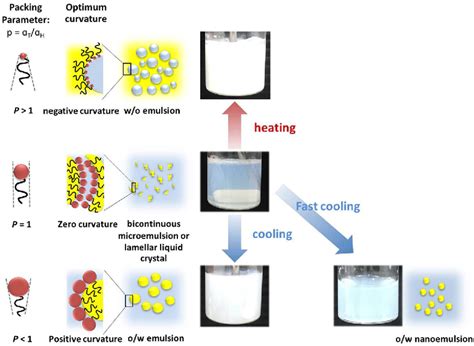Phase Inversion Temperature