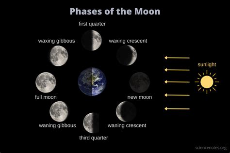 Phases Of The Moon Live Science Science Moon Phases - Science Moon Phases