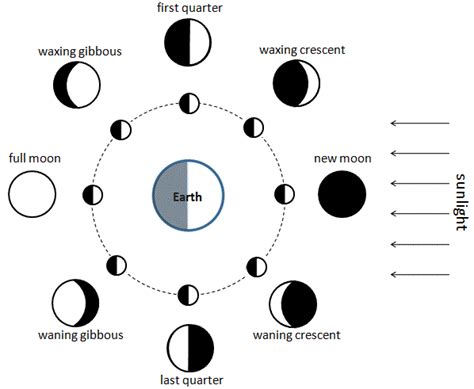 Phases Of The Moon Simple English Wikipedia The Drawing Of Phases Of Moon - Drawing Of Phases Of Moon