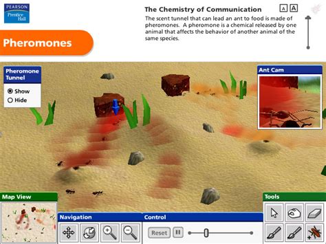Pheromone Communication Simulation