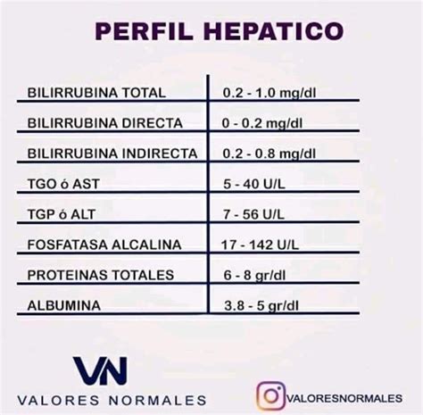 73 bet: Aposte nas Melhores Apostas Desportivas Online e Tenha a Garantia de Segurança nos Fundos - Foto 2