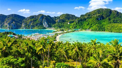 Phi A Voyage From The Brain To The Soul