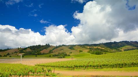 philo california