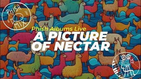 phish-picture of nectar - YouTube