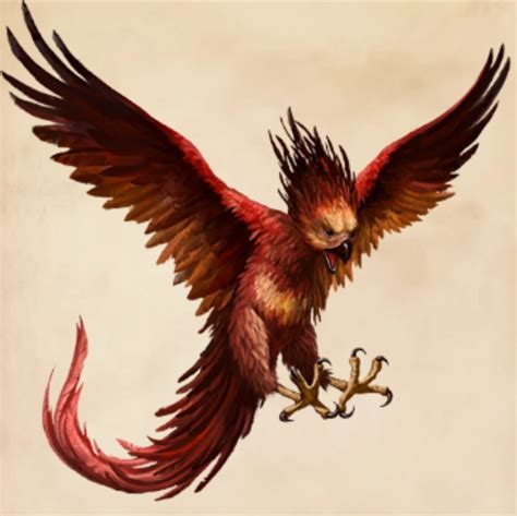 Phoenix Of Harry Potter